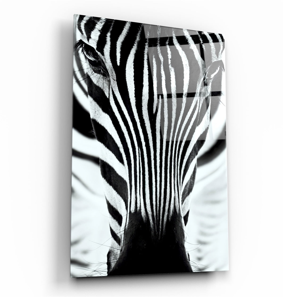 ・"Zebra V2"・Glass Wall Art | Artdesigna Glass Printing Wall Arts.