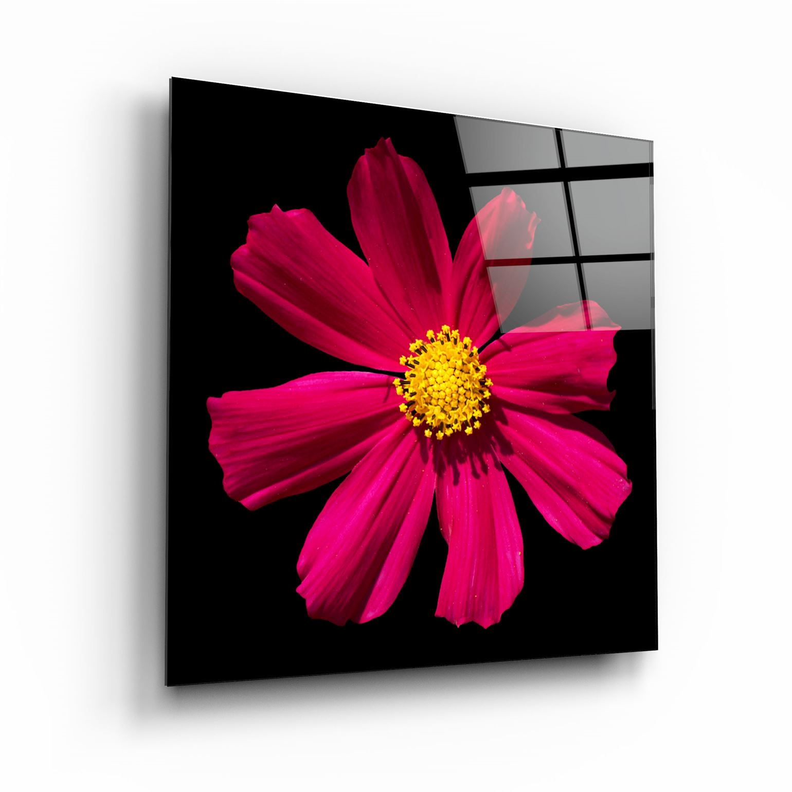 ・"Red flower"・Glass Wall Art | Artdesigna Glass Printing Wall Arts.