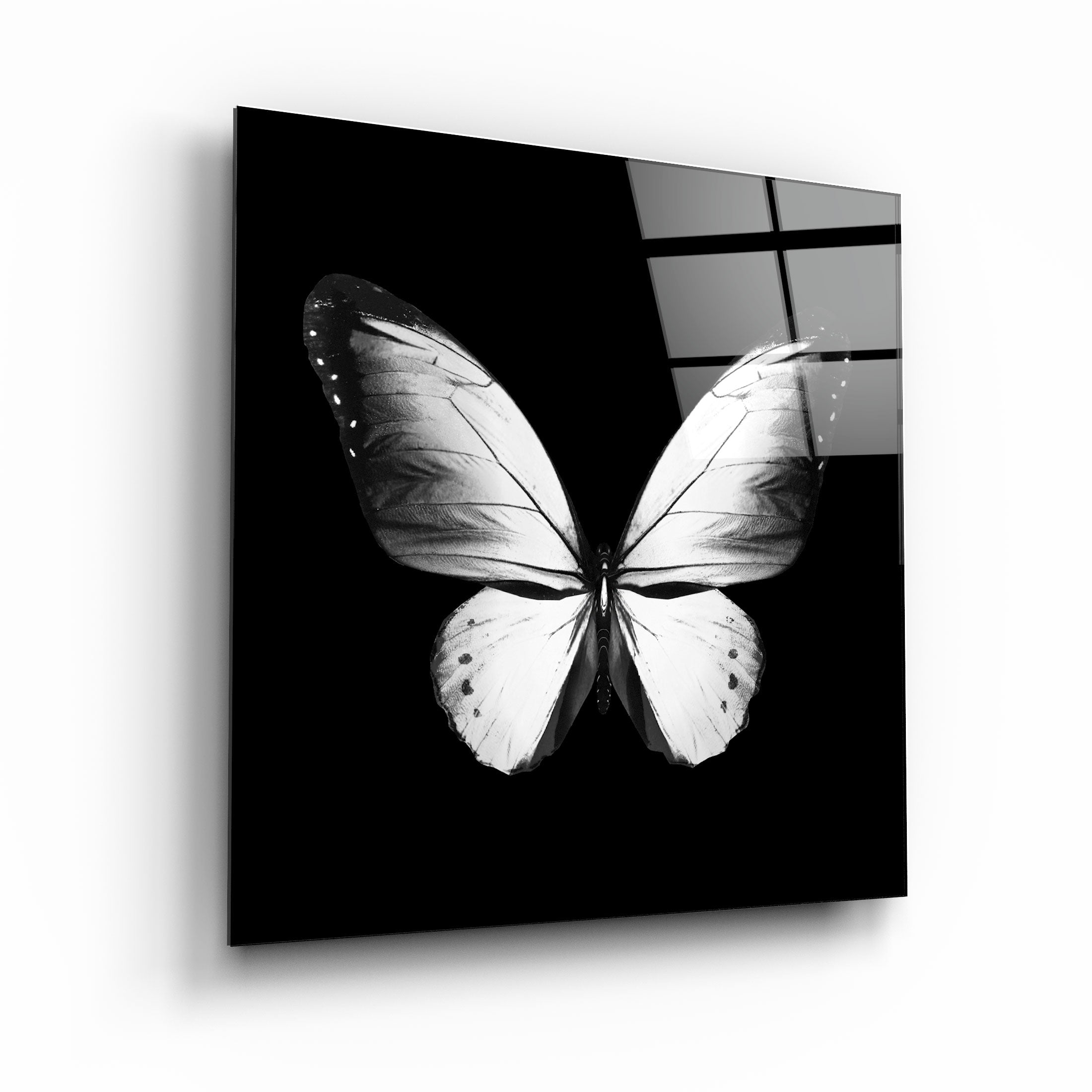 ・"Butterfly"・Glass Wall Art | Artdesigna Glass Printing Wall Arts.