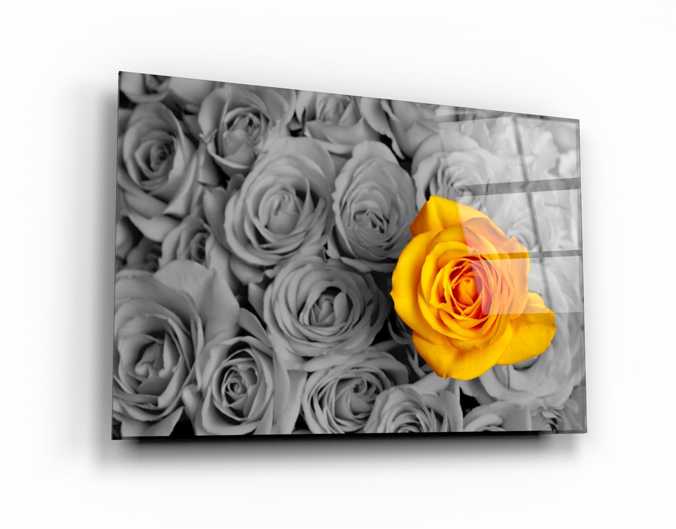 ・"Yellow Rose"・Glass Wall Art | Artdesigna Glass Printing Wall Arts.