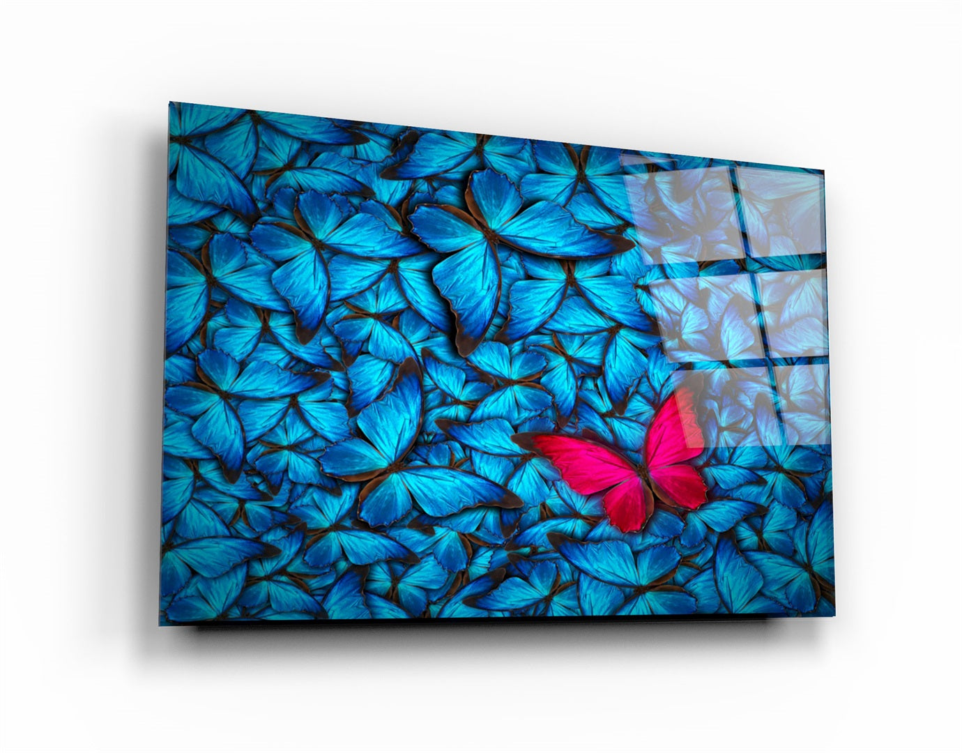 ・"Butterfly 1"・Glass Wall Art | Artdesigna Glass Printing Wall Arts.