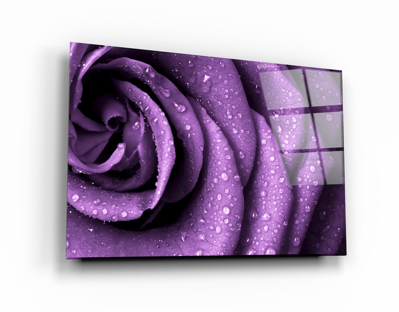 ・"Purple Rose"・Glass Wall Art | Artdesigna Glass Printing Wall Arts.