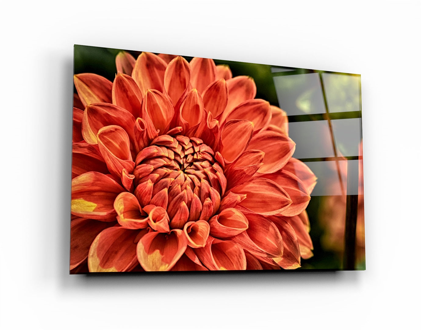 ・"Orange Gerbera"・Glass Wall Art | Artdesigna Glass Printing Wall Arts.