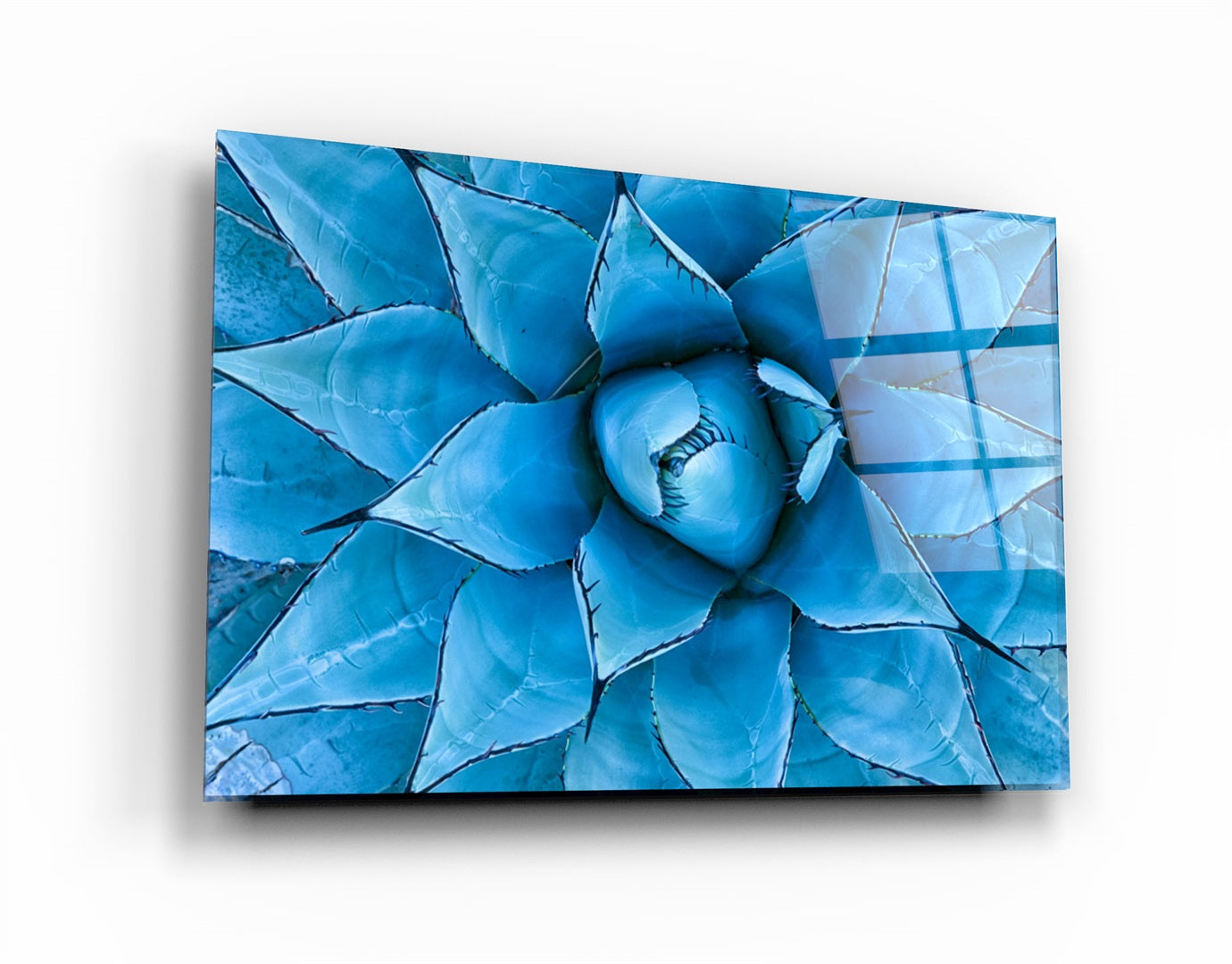・"Micro Flower"・Glass Wall Art | Artdesigna Glass Printing Wall Arts.