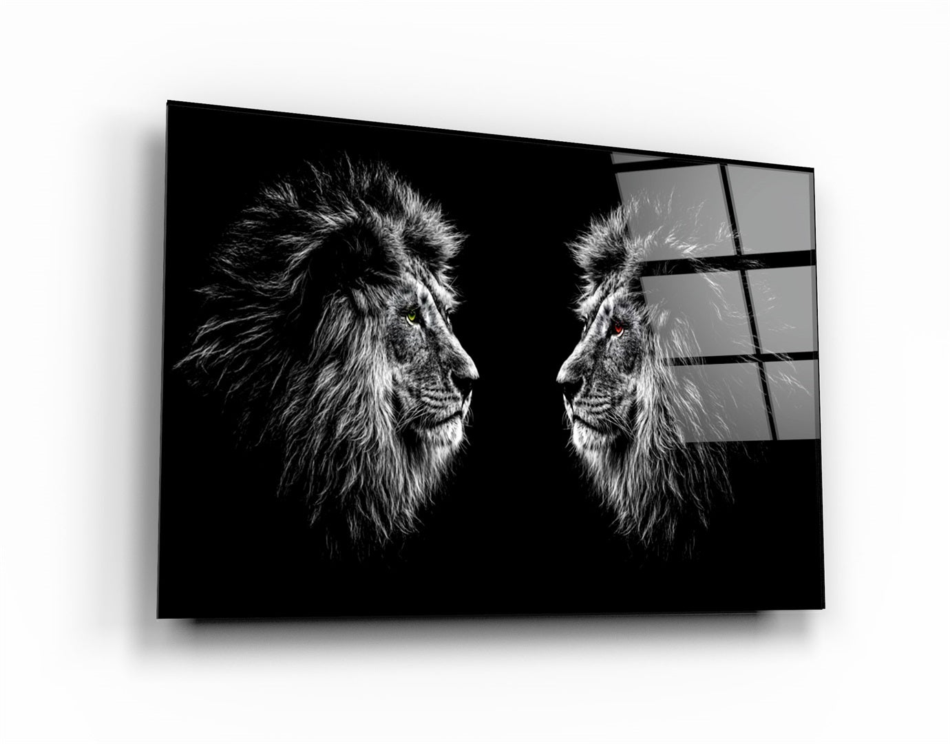・"Lions Confrontation BW "・Glass Wall Art | Artdesigna Glass Printing Wall Arts.