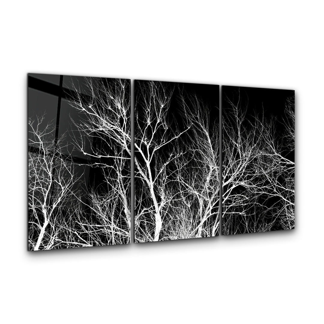 ・"Dried Branches Black and White - Trio"・Glass Wall Art