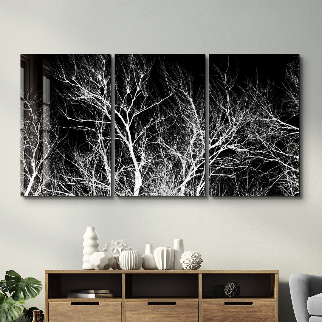 ・"Dried Branches Black and White - Trio"・Glass Wall Art