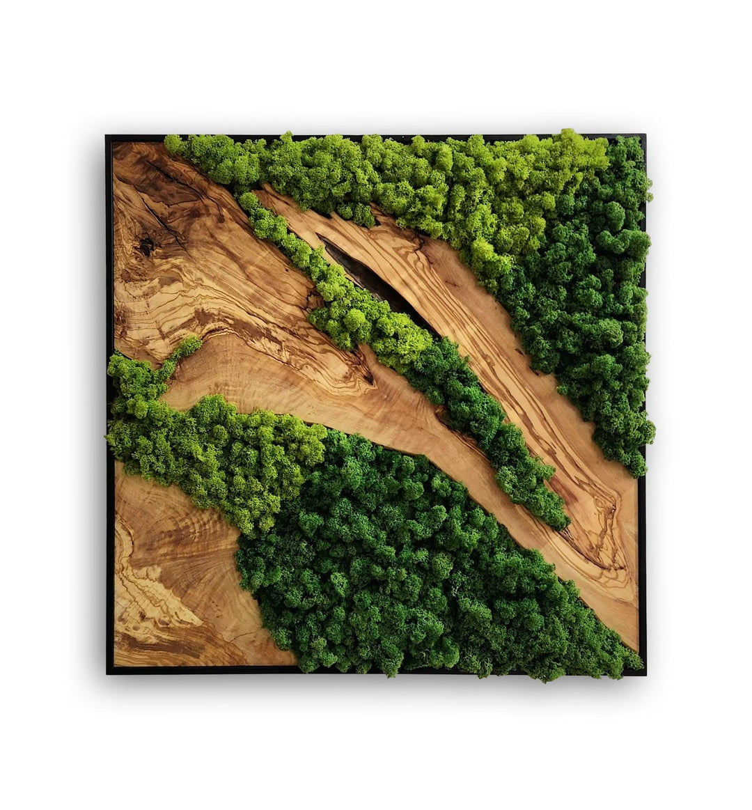 Custom Made Moss and Olive Wood Wall Art 2 Colours | Premium Handmade Wall Sculptures