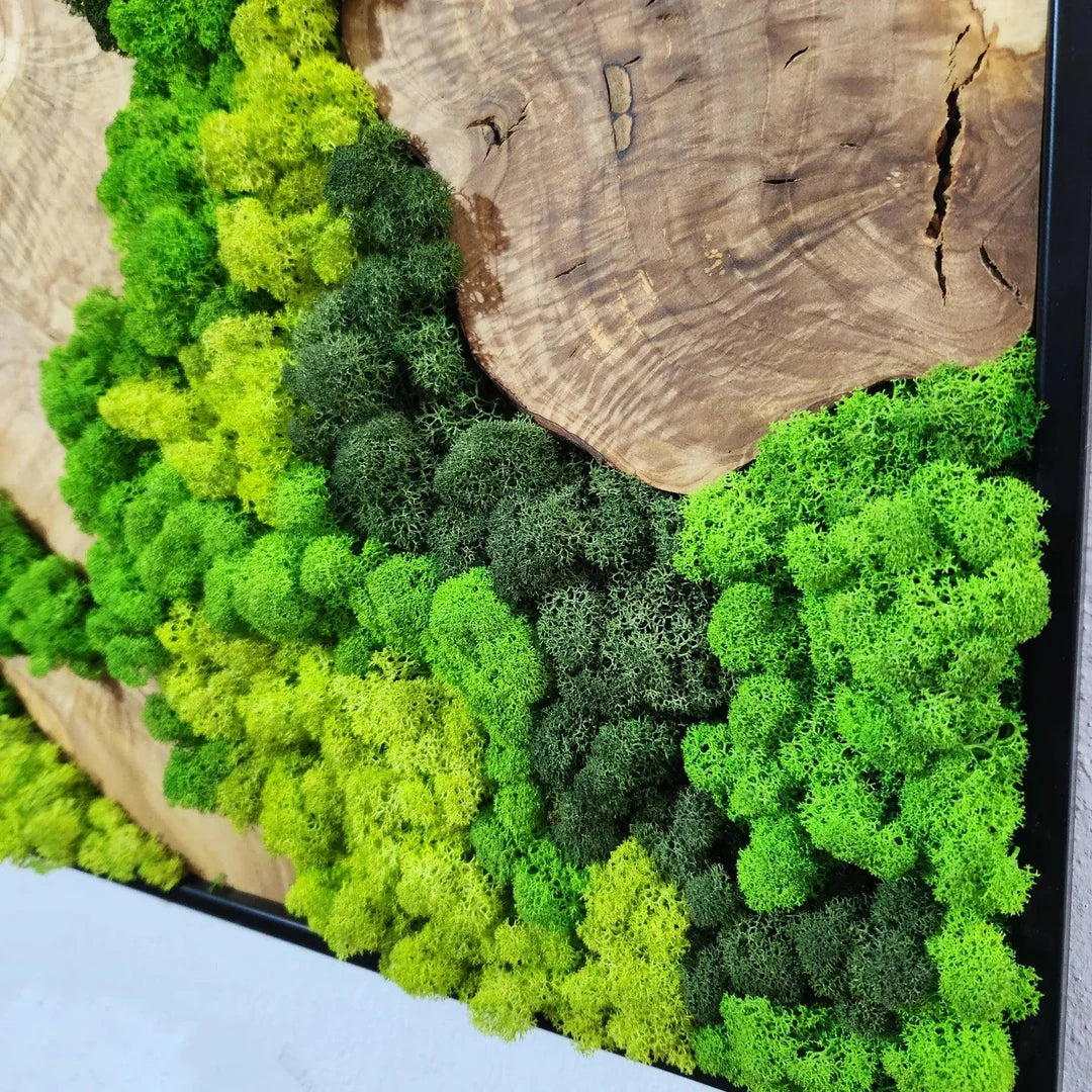 Custom Made Moss and Olive Wood Wall Art 3 Colours | Premium Handmade Wall Sculptures