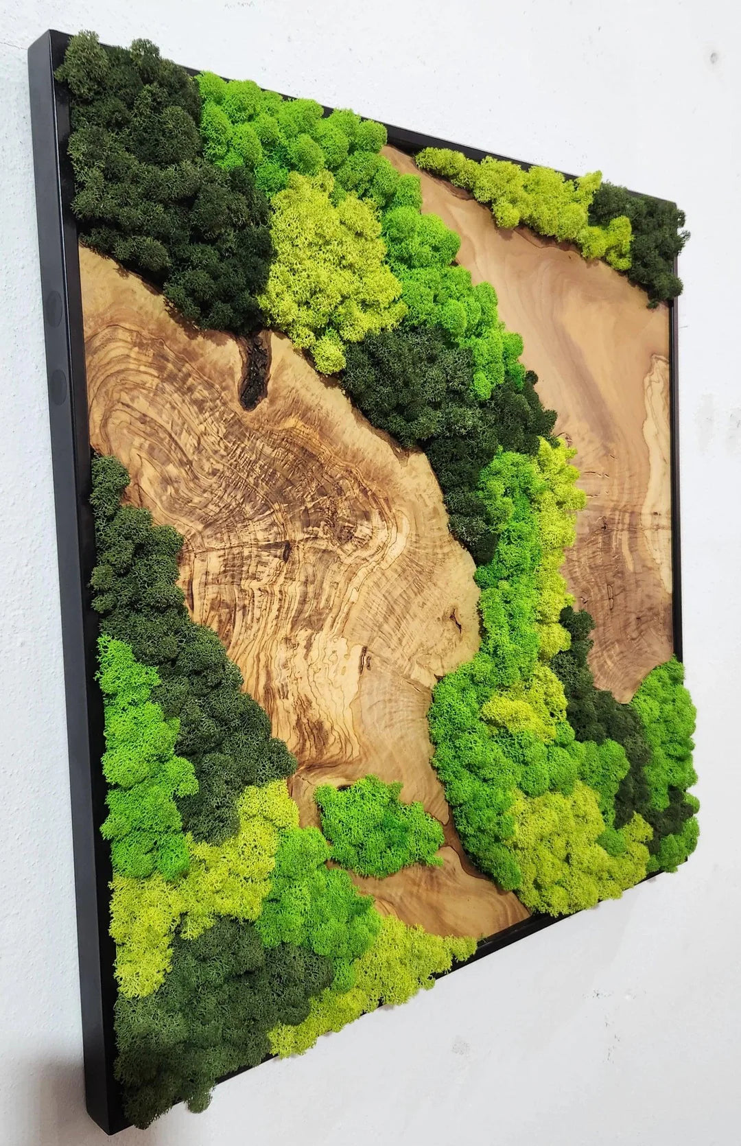 Custom Made Moss and Olive Wood Wall Art 3 Colours | Premium Handmade Wall Sculptures