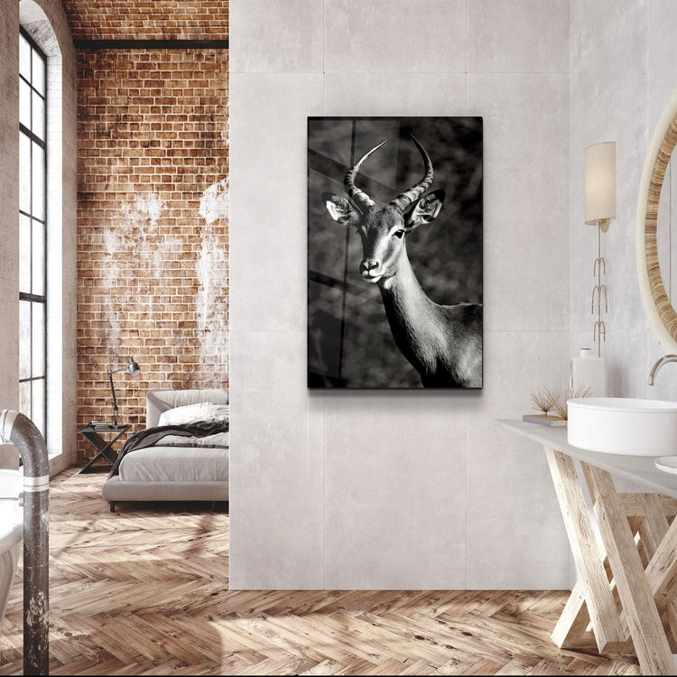 ・"Antilope Black and White"・Glass Wall Art | Artdesigna Glass Printing Wall Arts.