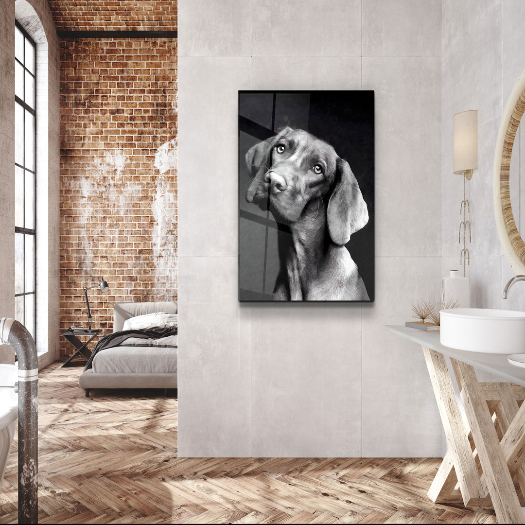 ・"Innocent Dog"・Glass Wall Art | Artdesigna Glass Printing Wall Arts.