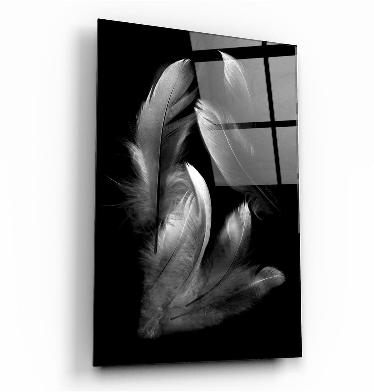 ・"White Feathers"・Glass Wall Art | Artdesigna Glass Printing Wall Arts.