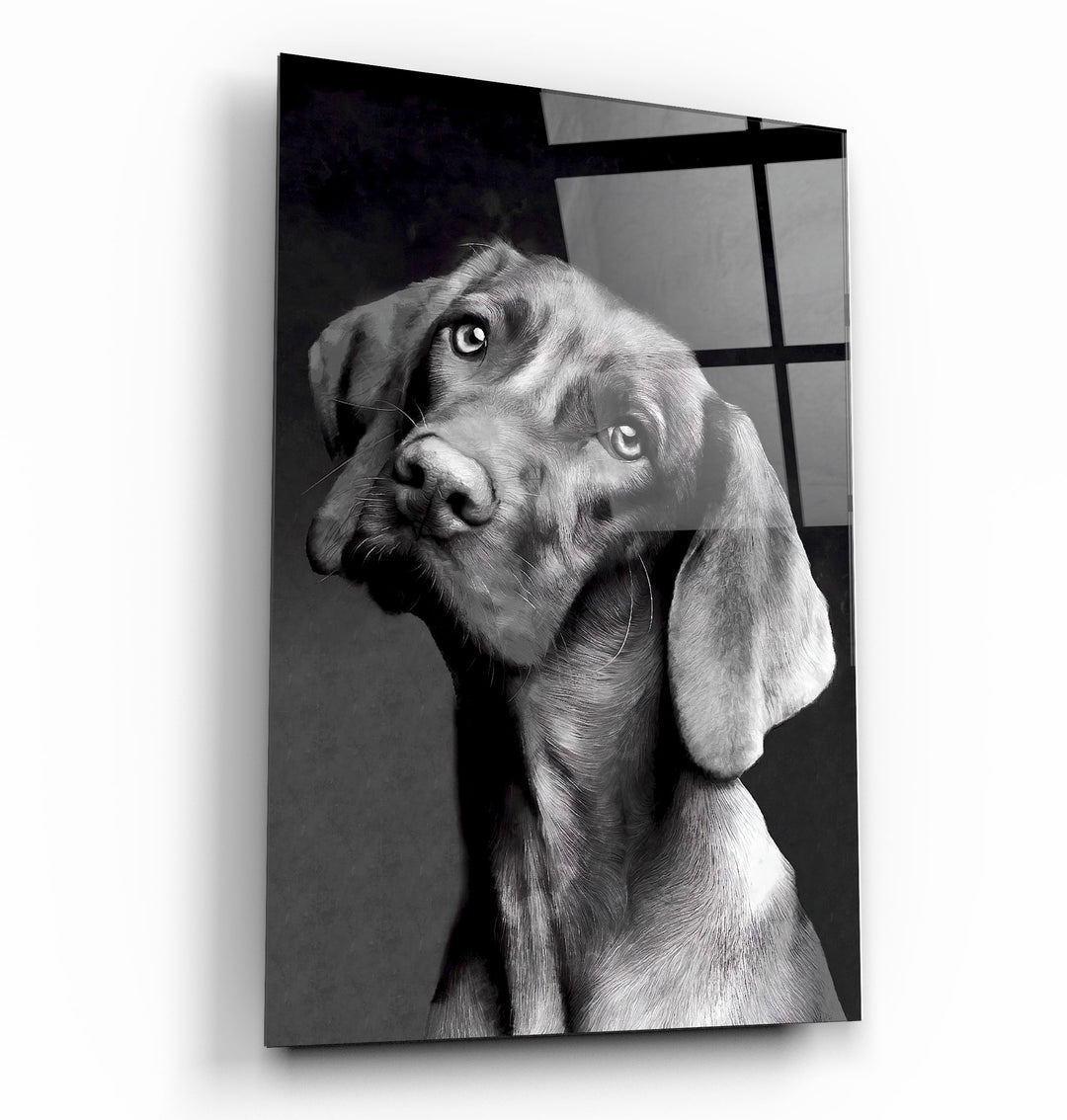 ・"Innocent Dog"・Glass Wall Art | Artdesigna Glass Printing Wall Arts.