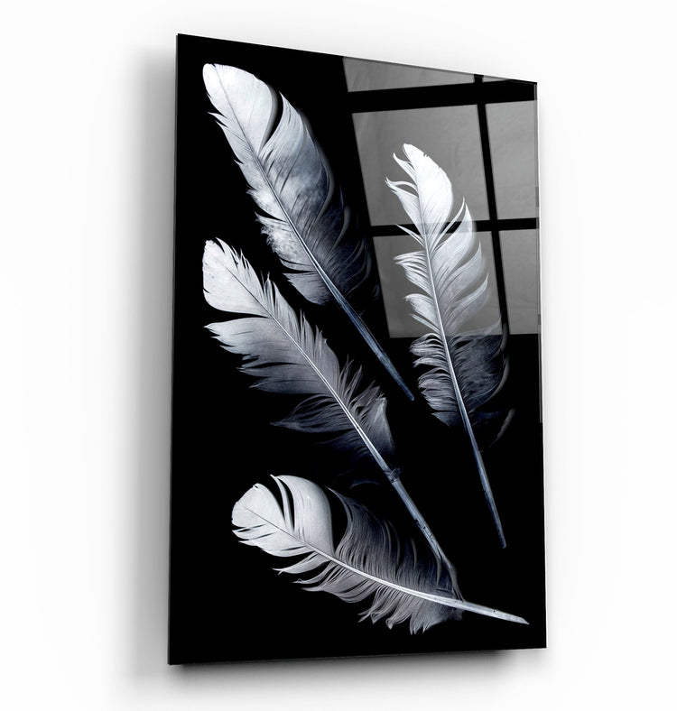 ・"White Feathers"・Glass Wall Art | Artdesigna Glass Printing Wall Arts.