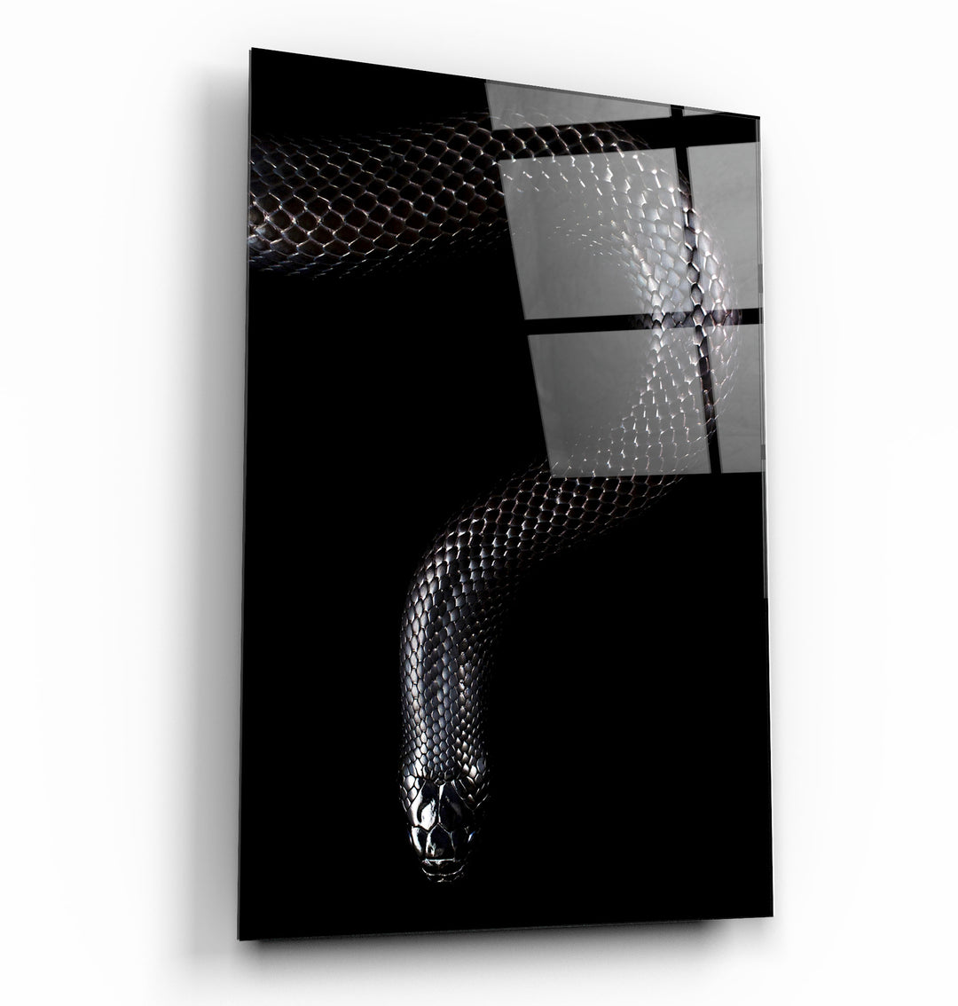 ・"The black Mamba"・Glass Wall Art | Artdesigna Glass Printing Wall Arts.