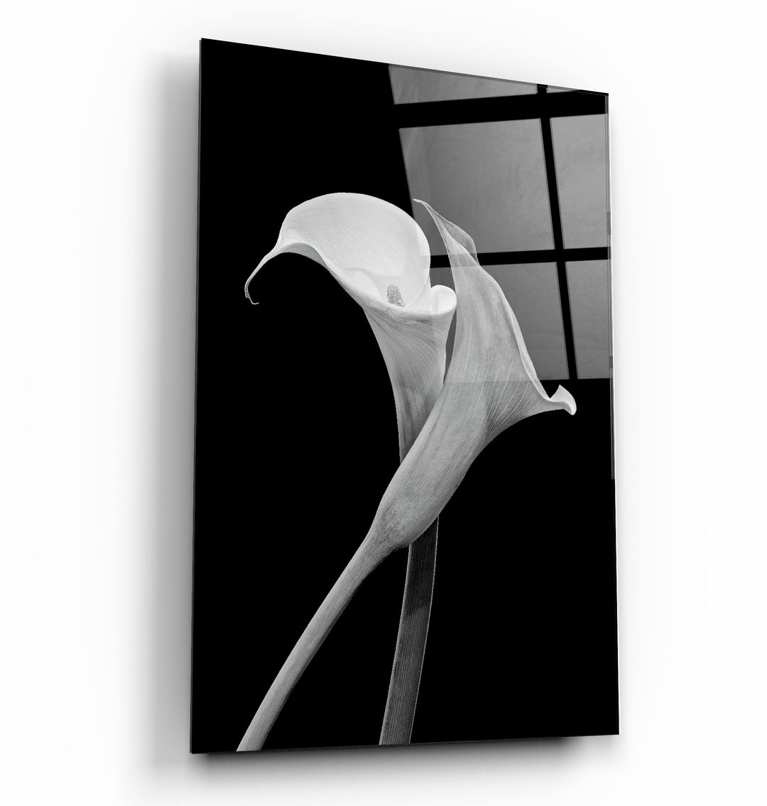 ・"Arum Lily"・Glass Wall Art | Artdesigna Glass Printing Wall Arts.