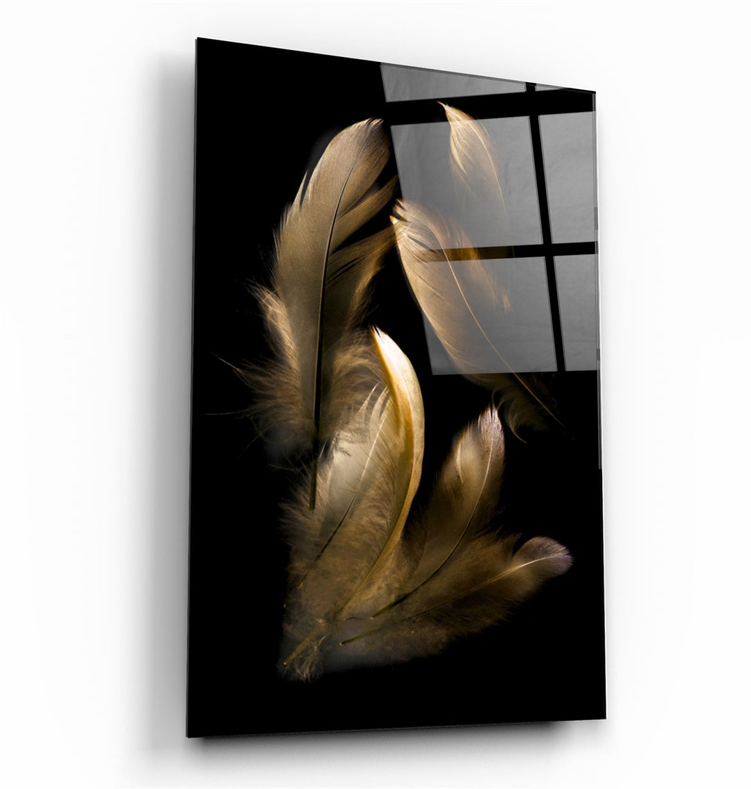 ・"Tan Feather"・Glass Wall Art | Artdesigna Glass Printing Wall Arts.