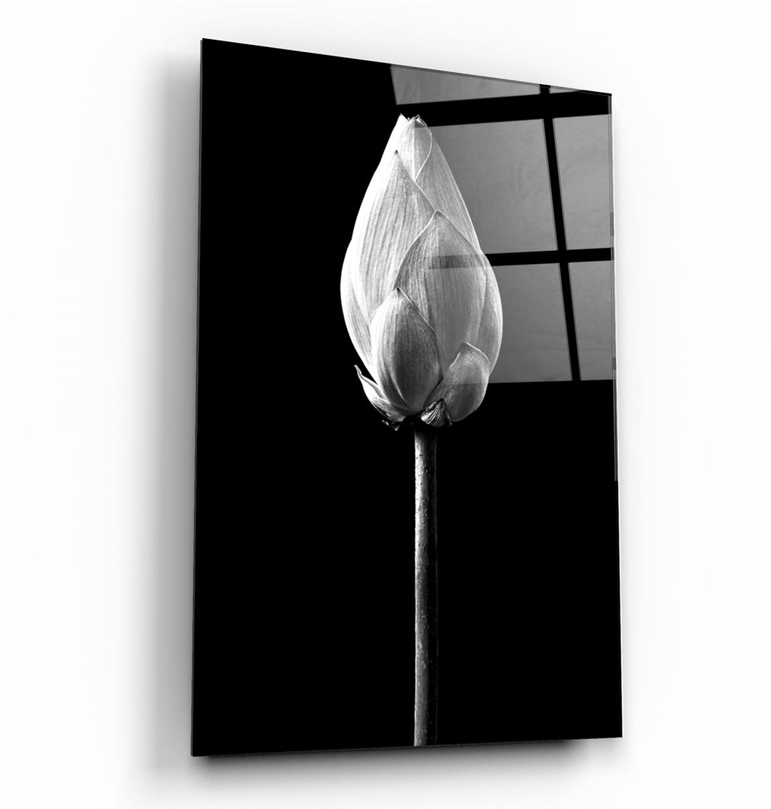 ・"Flower"・Glass Wall Art | Artdesigna Glass Printing Wall Arts.