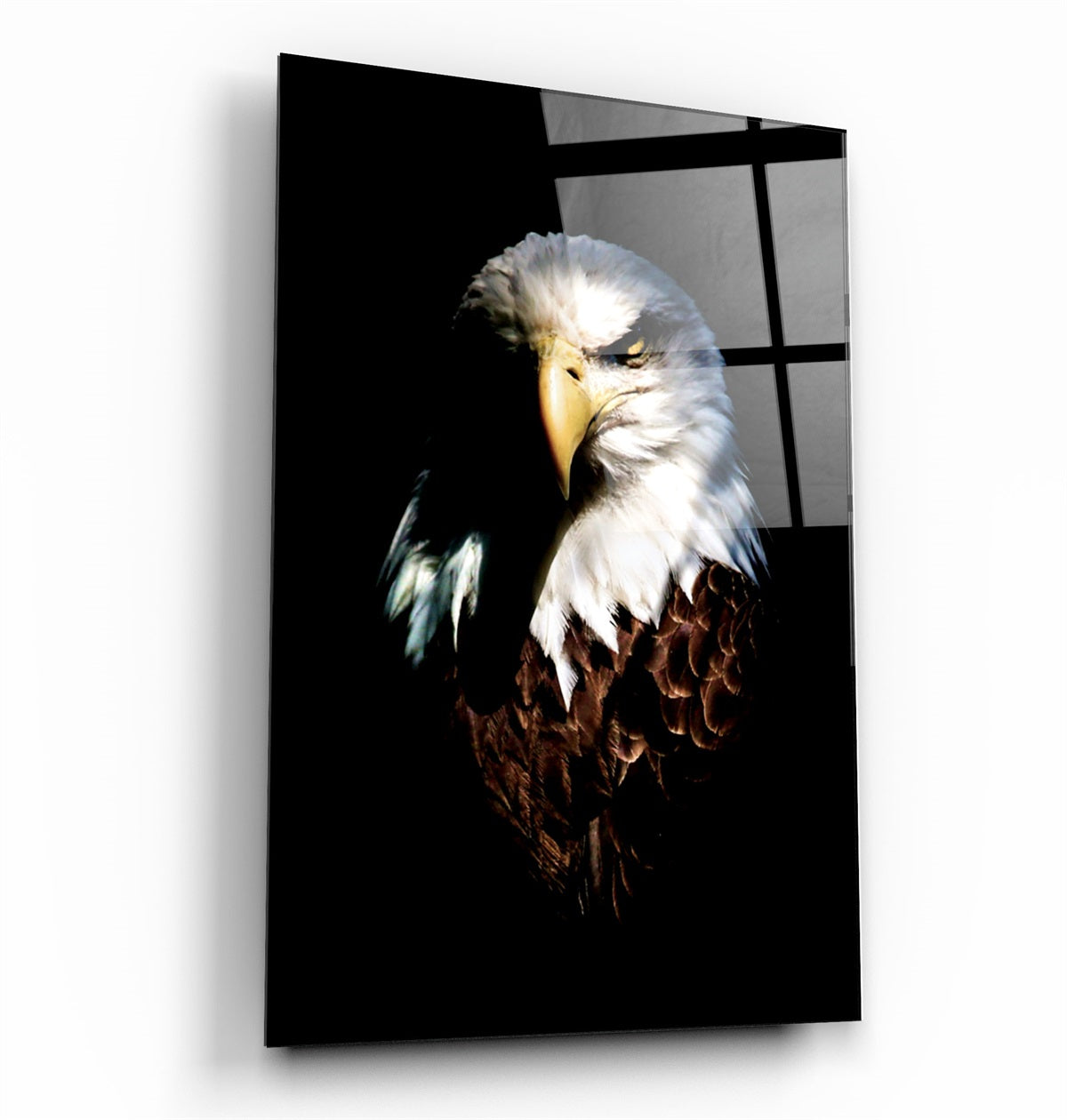 ・"Eagle"・Glass Wall Art | Artdesigna Glass Printing Wall Arts.