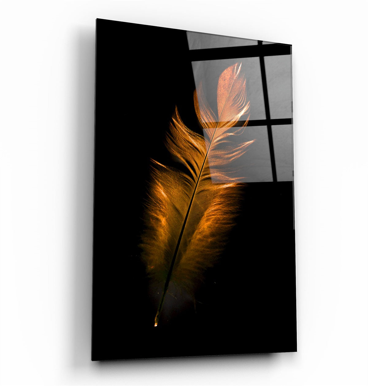 ・"Orange Feather"・Glass Wall Art | Artdesigna Glass Printing Wall Arts.