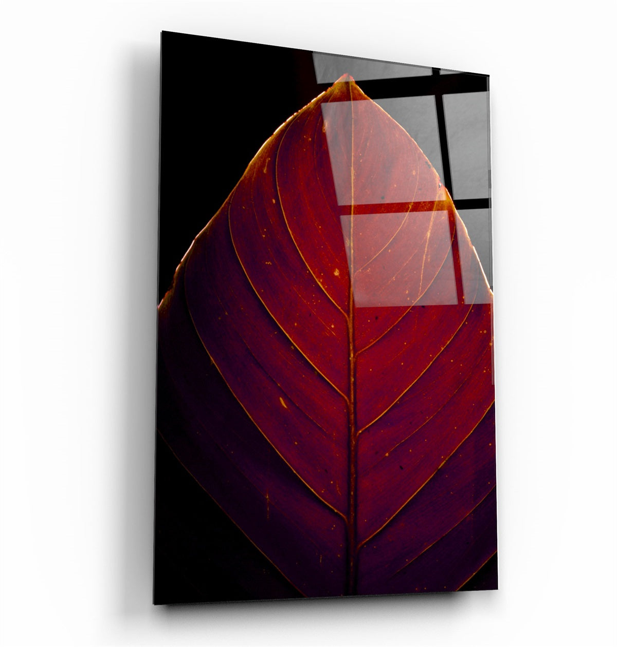 ・"Leaf v2"・Glass Wall Art | Artdesigna Glass Printing Wall Arts.