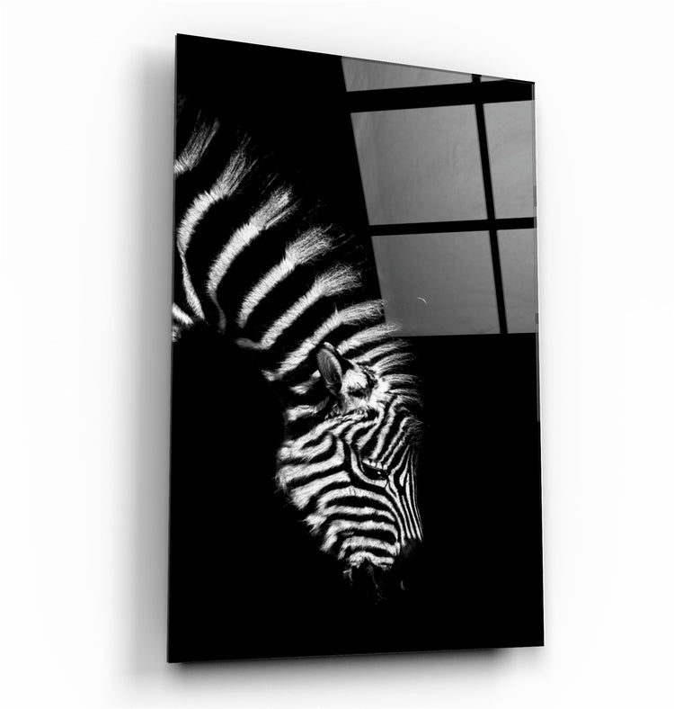 ・"Young Zebra"・Glass Wall Art | Artdesigna Glass Printing Wall Arts.