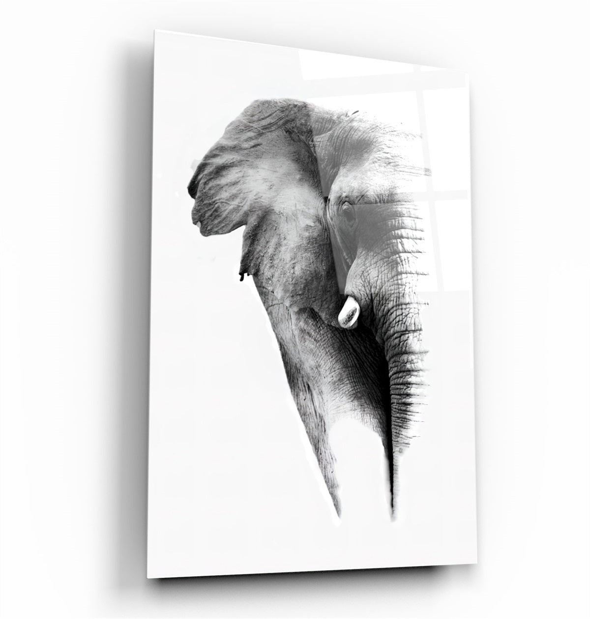 ・"Elephant V2"・Glass Wall Art | Artdesigna Glass Printing Wall Arts.