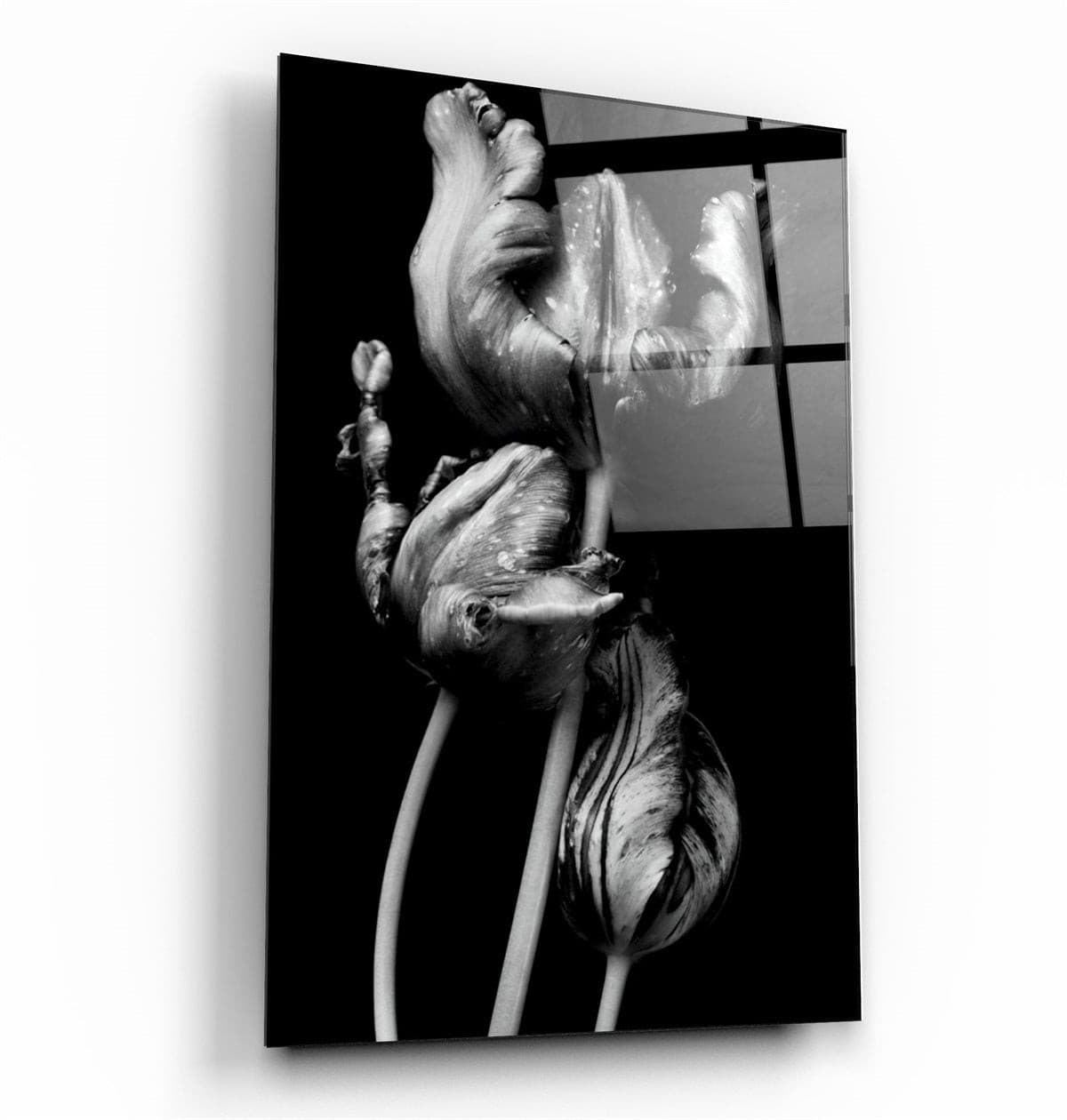 ・"Black - White Flower 2"・Glass Wall Art | Artdesigna Glass Printing Wall Arts.