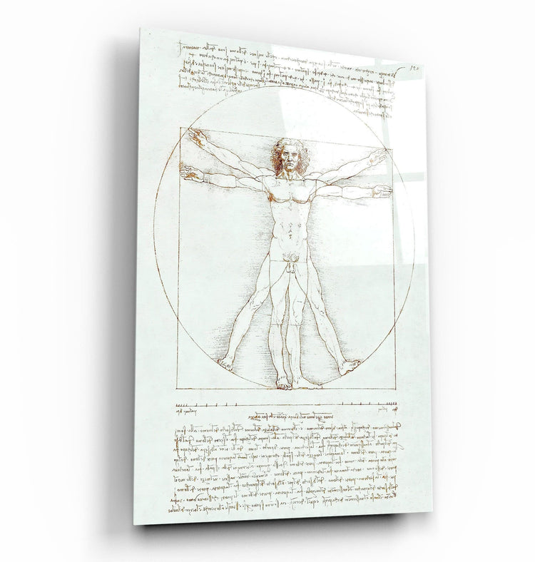 ・"Leonardo da Vinci's The Vitruvian Man 1498"・Glass Wall Art | Artdesigna Glass Printing Wall Arts.