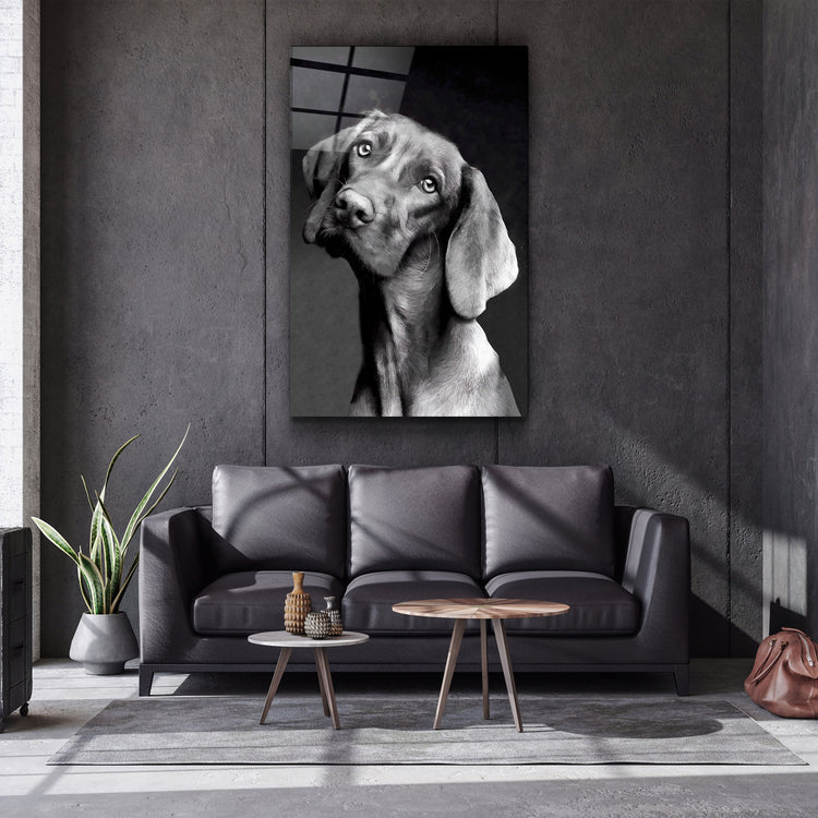 ・"Innocent Dog"・Glass Wall Art | Artdesigna Glass Printing Wall Arts.