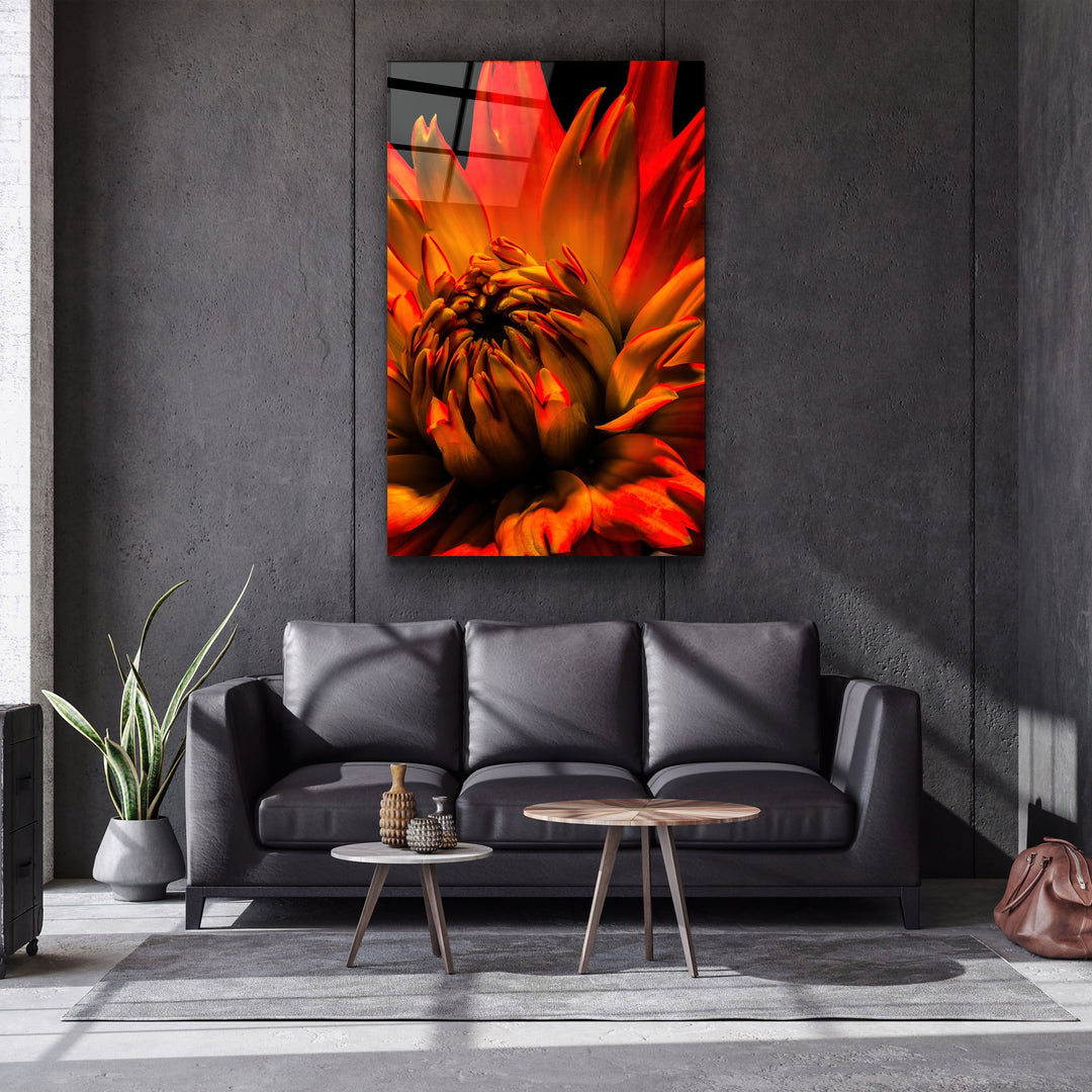 ・"Orange Daisy"・Glass Wall Art | Artdesigna Glass Printing Wall Arts.