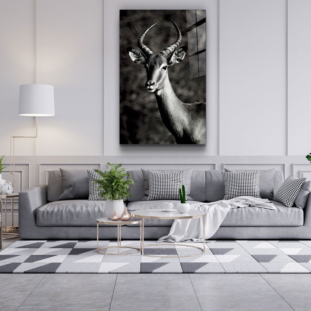 ・"Antilope Black and White"・Glass Wall Art | Artdesigna Glass Printing Wall Arts.