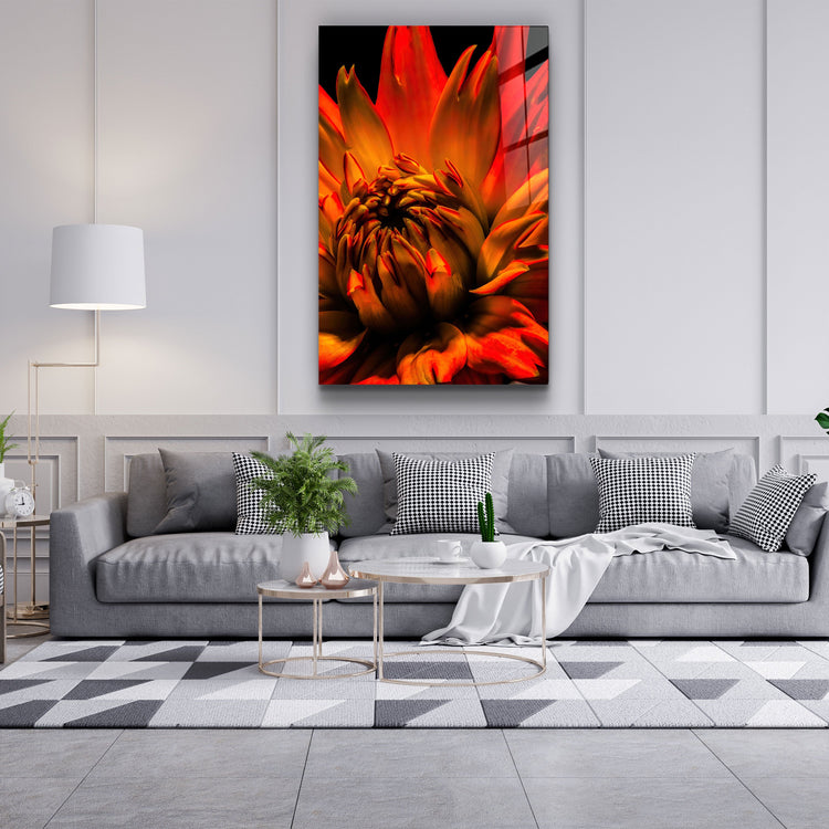 ・"Orange Daisy"・Glass Wall Art | Artdesigna Glass Printing Wall Arts.