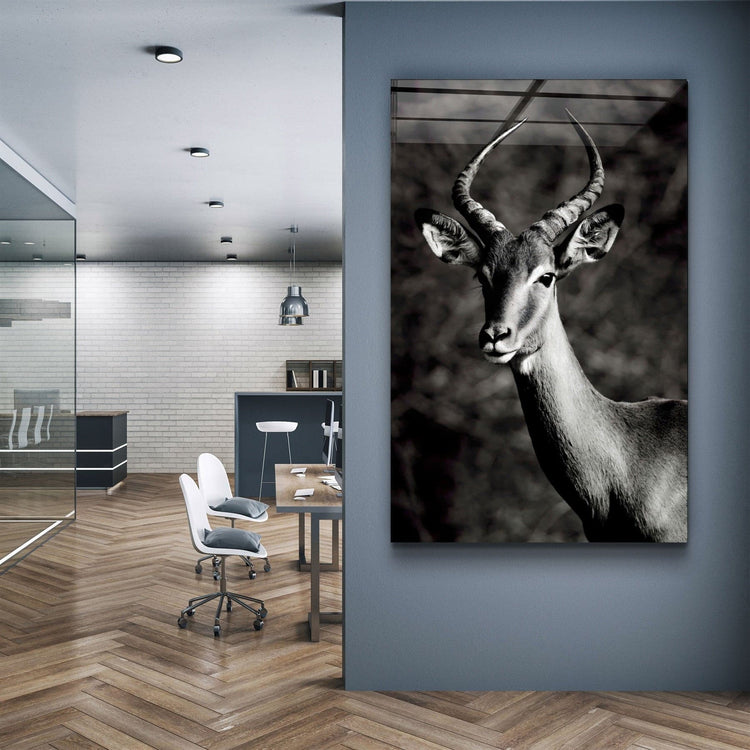 ・"Antilope Black and White"・Glass Wall Art | Artdesigna Glass Printing Wall Arts.