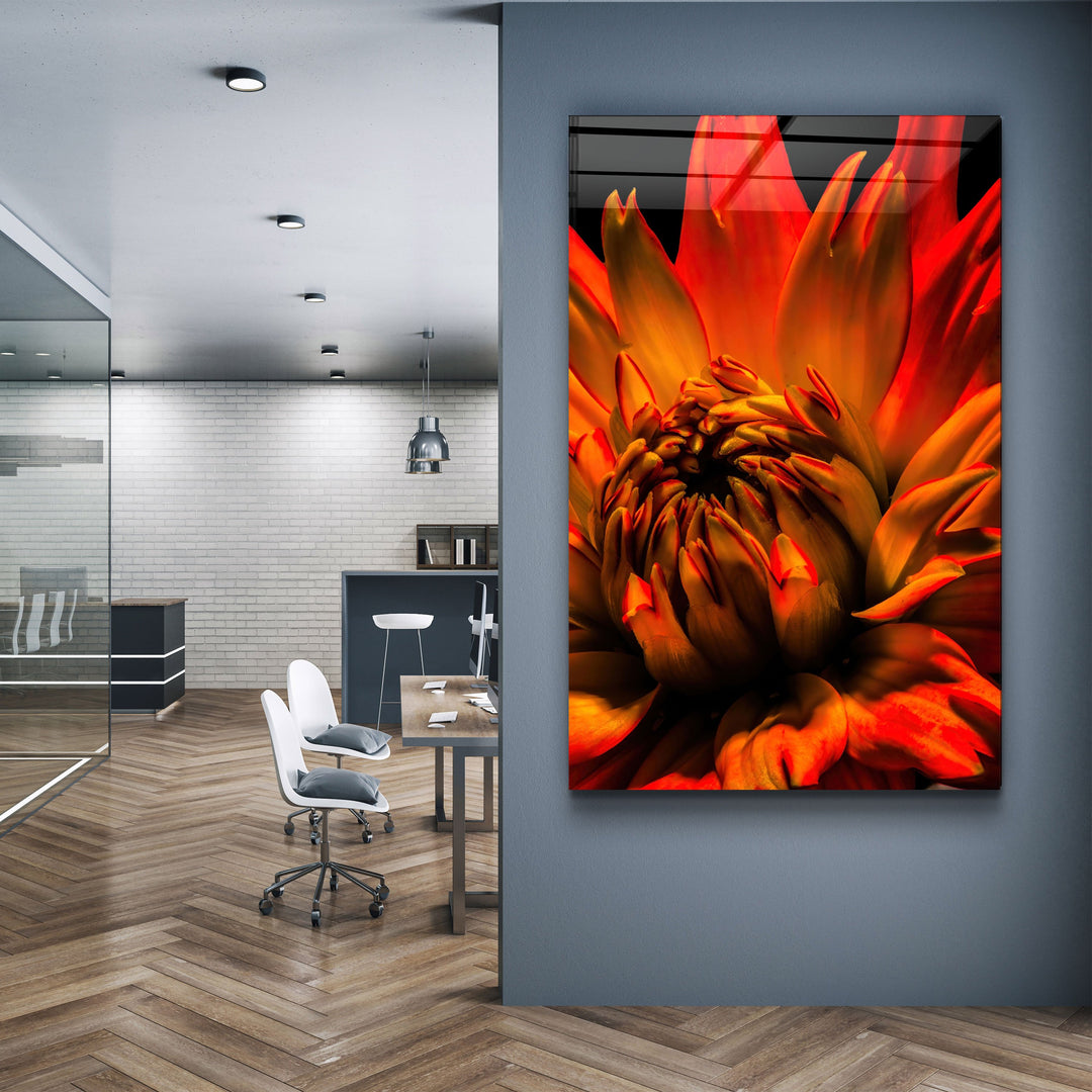 ・"Orange Daisy"・Glass Wall Art | Artdesigna Glass Printing Wall Arts.