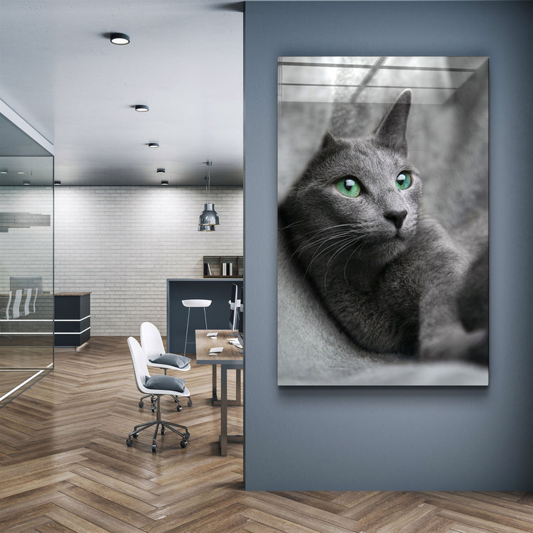 ・"Cat 2"・Glass Wall Art | Artdesigna Glass Printing Wall Arts.