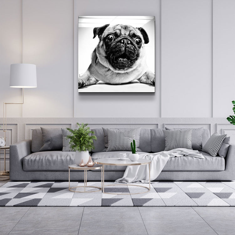 ・"Pug"・Glass Wall Art | Artdesigna Glass Printing Wall Arts.