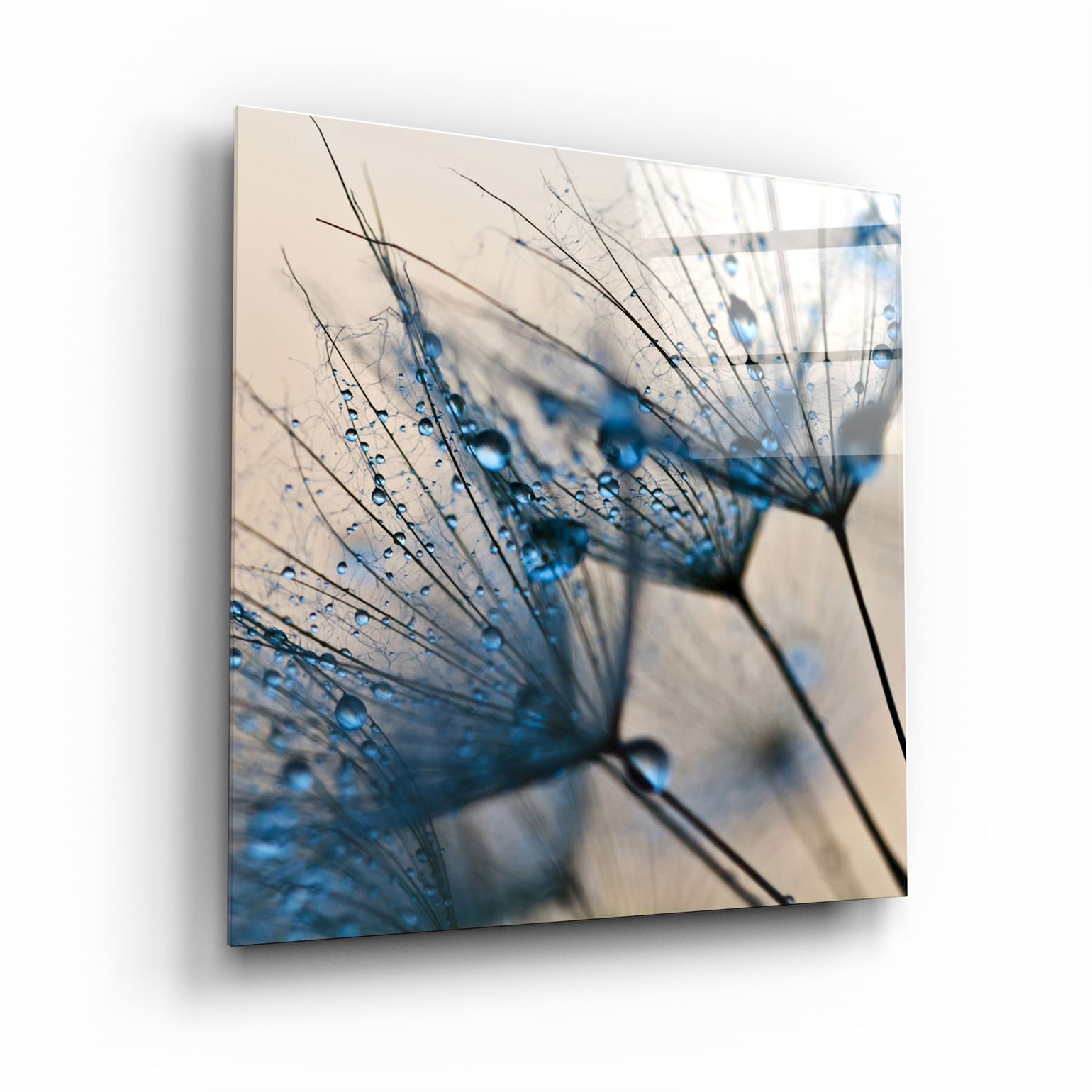 ・"Flower"・Glass Wall Art | Artdesigna Glass Printing Wall Arts.