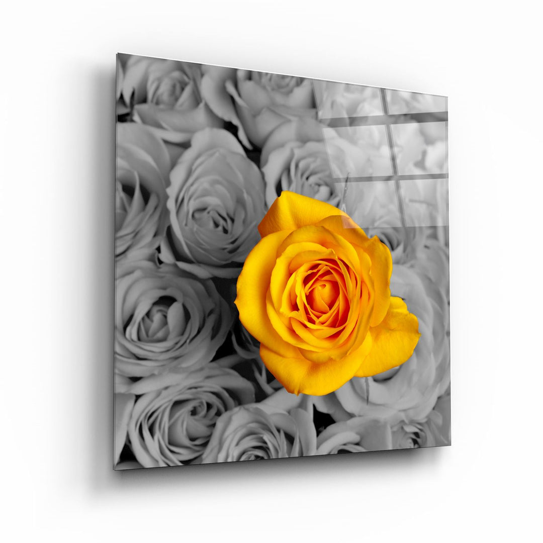 ・"Yellow Rose"・Glass Wall Art | Artdesigna Glass Printing Wall Arts.