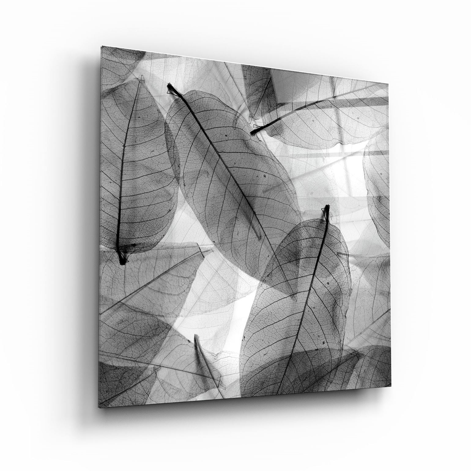 ・"Black and White Leaves"・Glass Wall Art | Artdesigna Glass Printing Wall Arts.