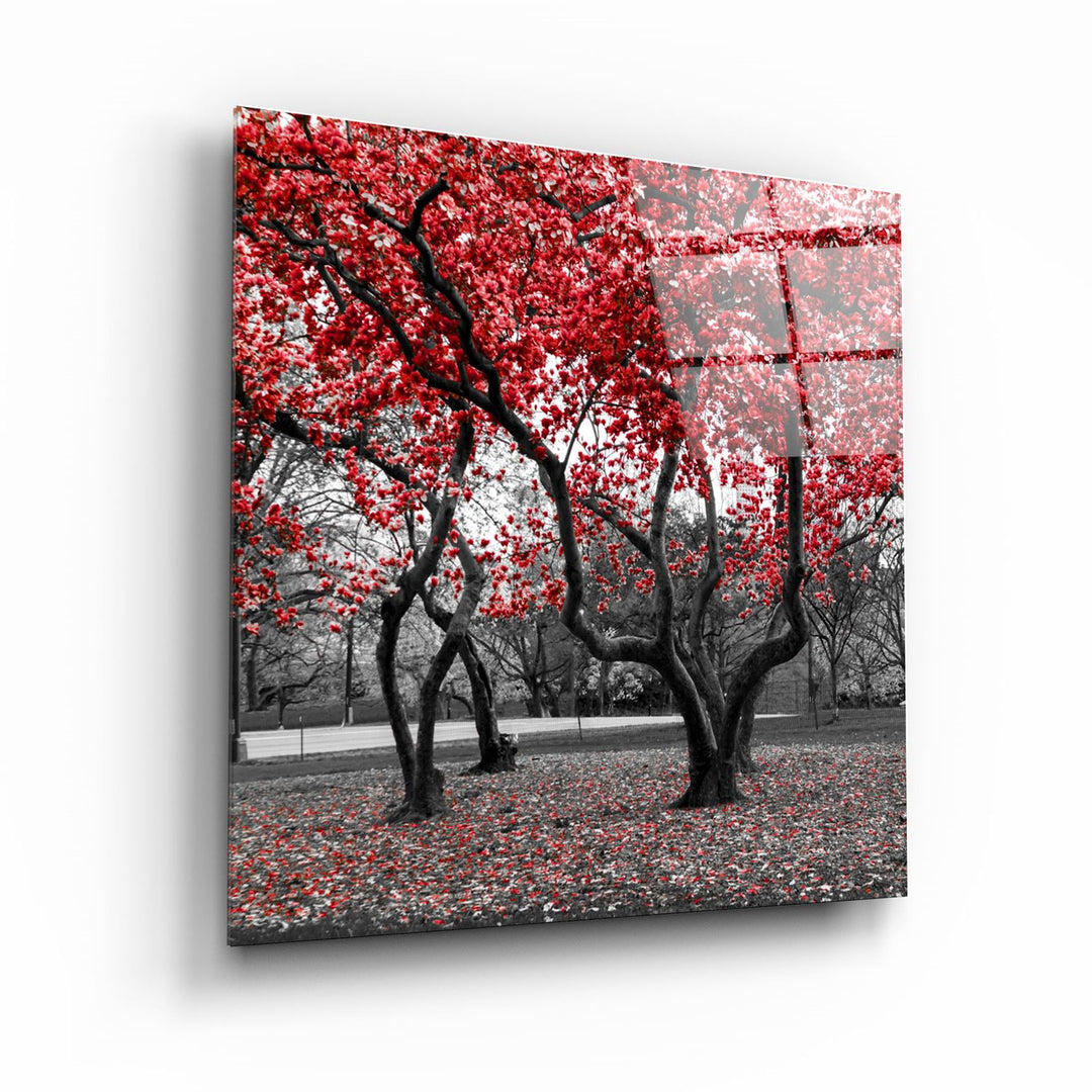 ・"Red Tree"・Glass Wall Art | Artdesigna Glass Printing Wall Arts.