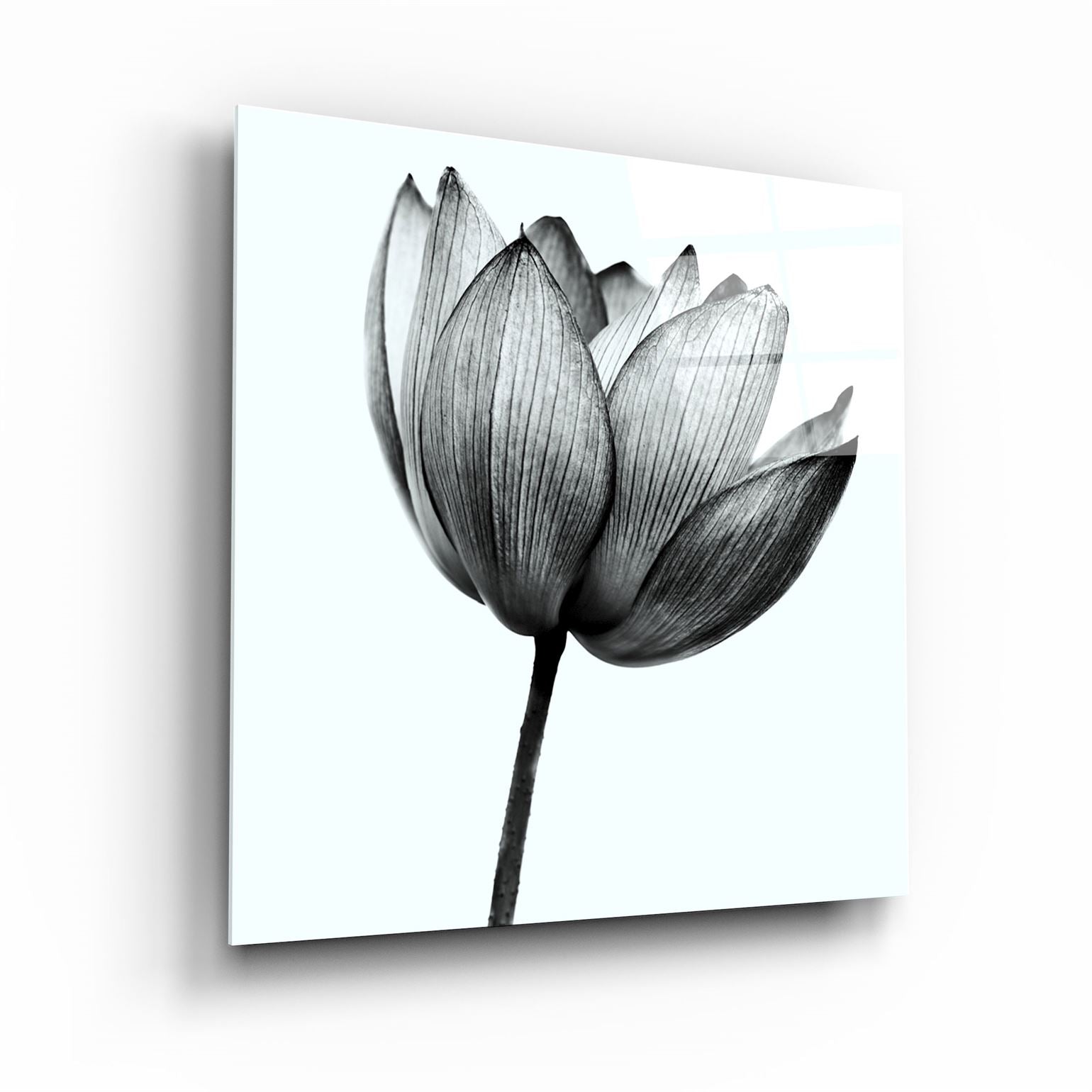 ・"Flower"・Glass Wall Art | Artdesigna Glass Printing Wall Arts.