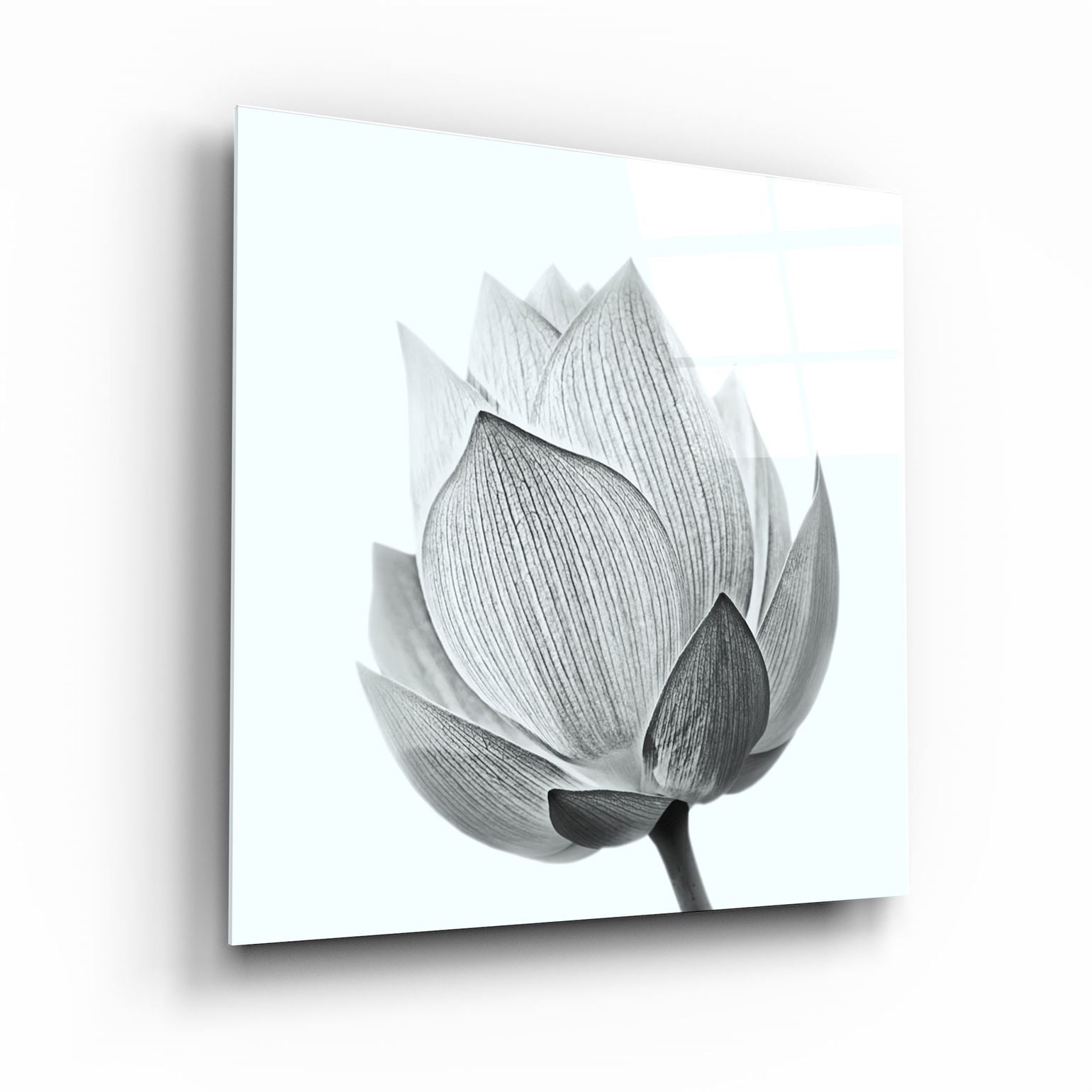 ・"Flower"・Glass Wall Art | Artdesigna Glass Printing Wall Arts.