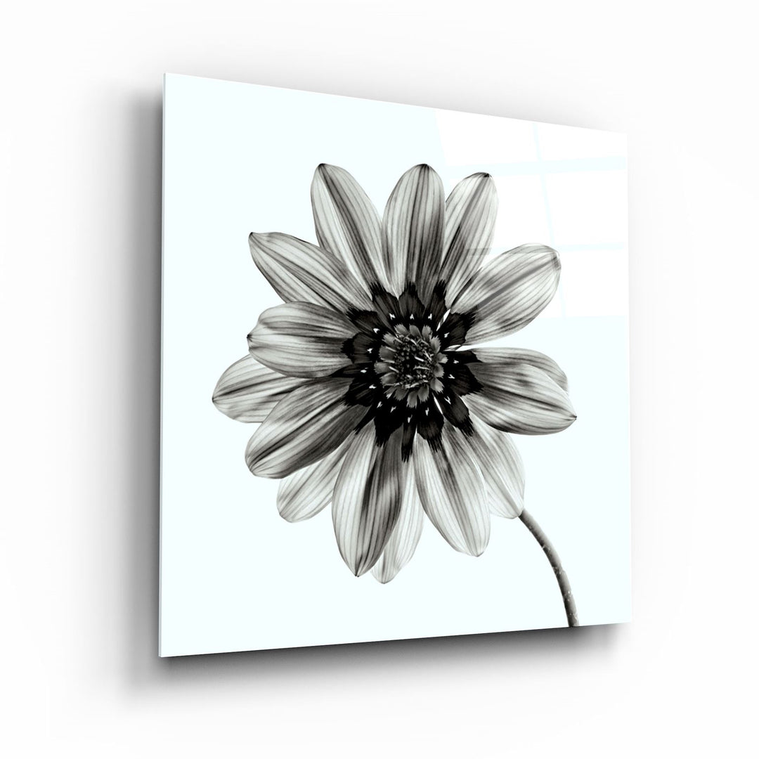 ・"Flower"・Glass Wall Art | Artdesigna Glass Printing Wall Arts.