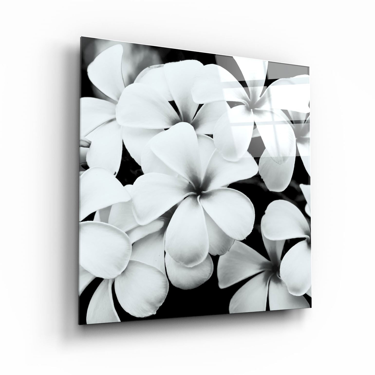 ・"Black and White Flowers"・Glass Wall Art | Artdesigna Glass Printing Wall Arts.