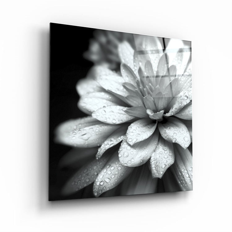 ・"Flower"・Glass Wall Art | Artdesigna Glass Printing Wall Arts.