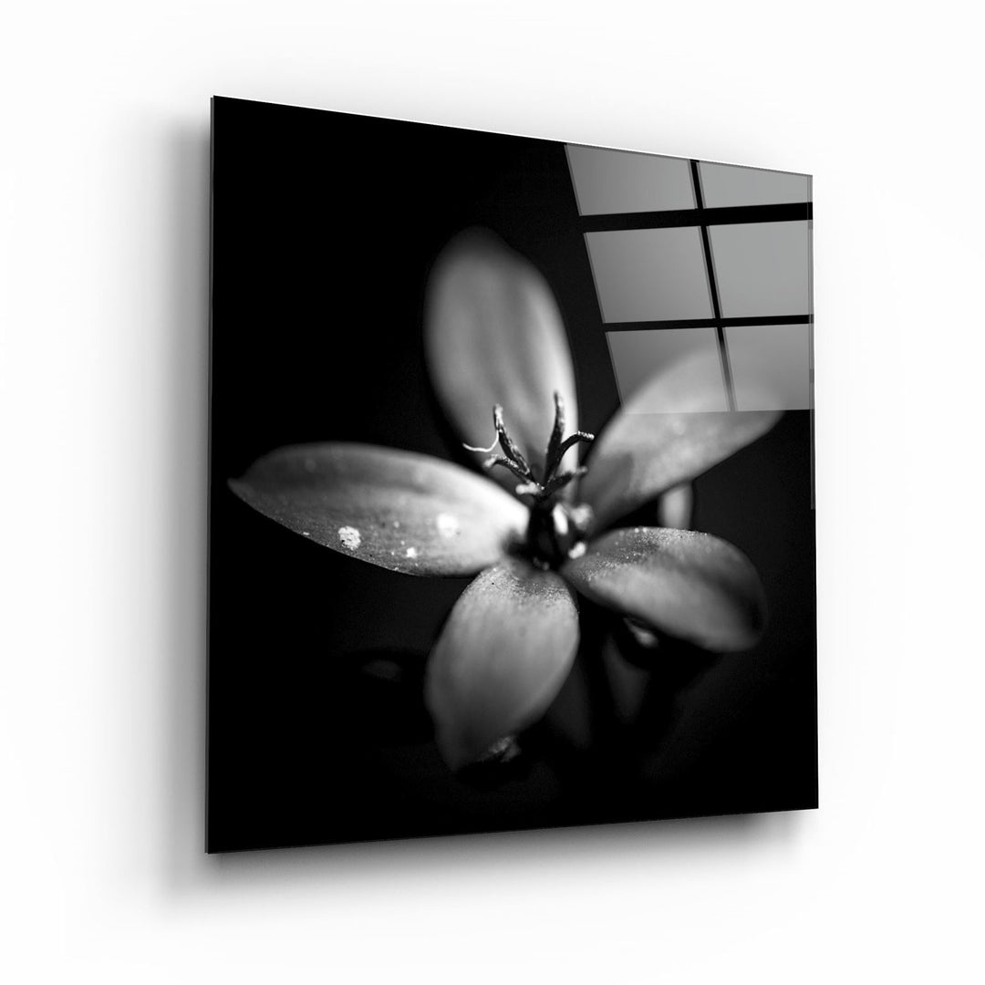 ・"Flower"・Glass Wall Art | Artdesigna Glass Printing Wall Arts.