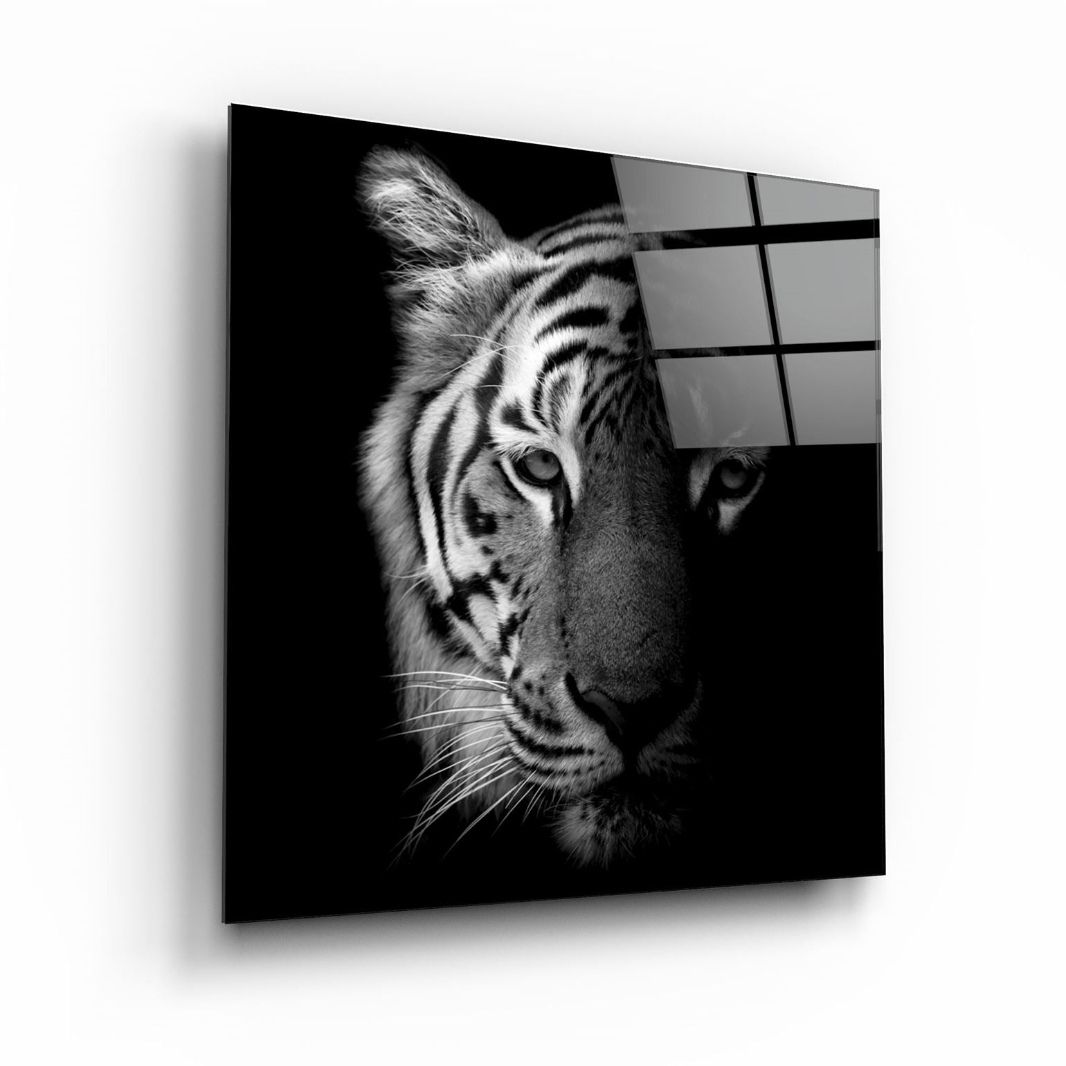 ・"Tiger"・Glass Wall Art | Artdesigna Glass Printing Wall Arts.