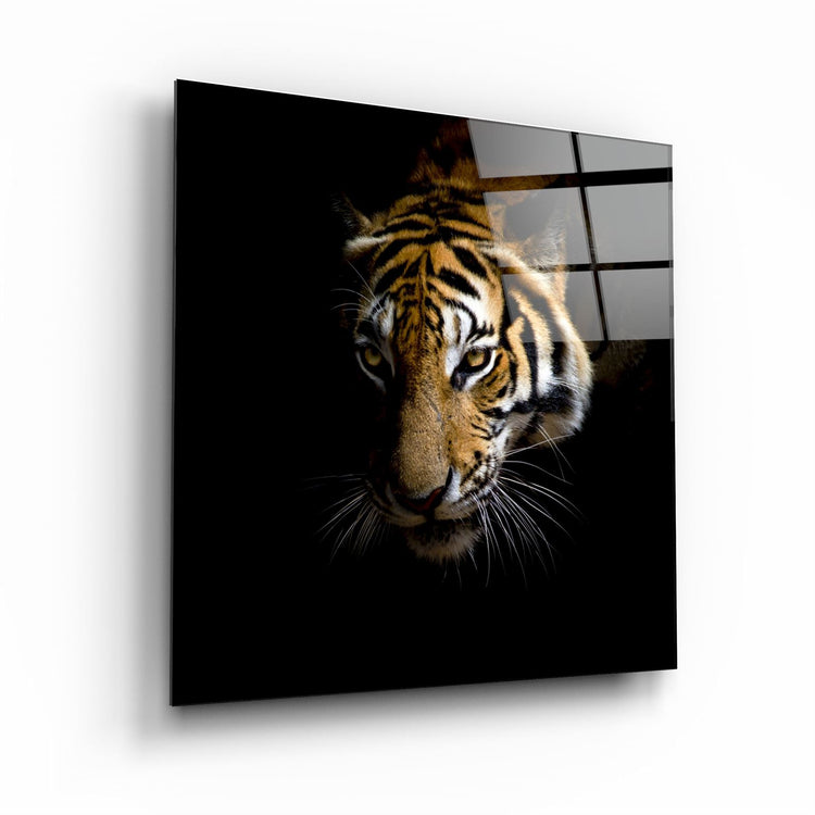 ・"Tiger"・Glass Wall Art | Artdesigna Glass Printing Wall Arts.